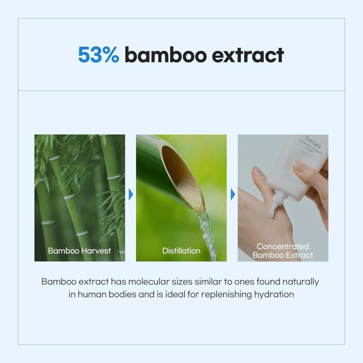 Bamboo Hyaluronic Moisture Cream 70Ml - Image 4