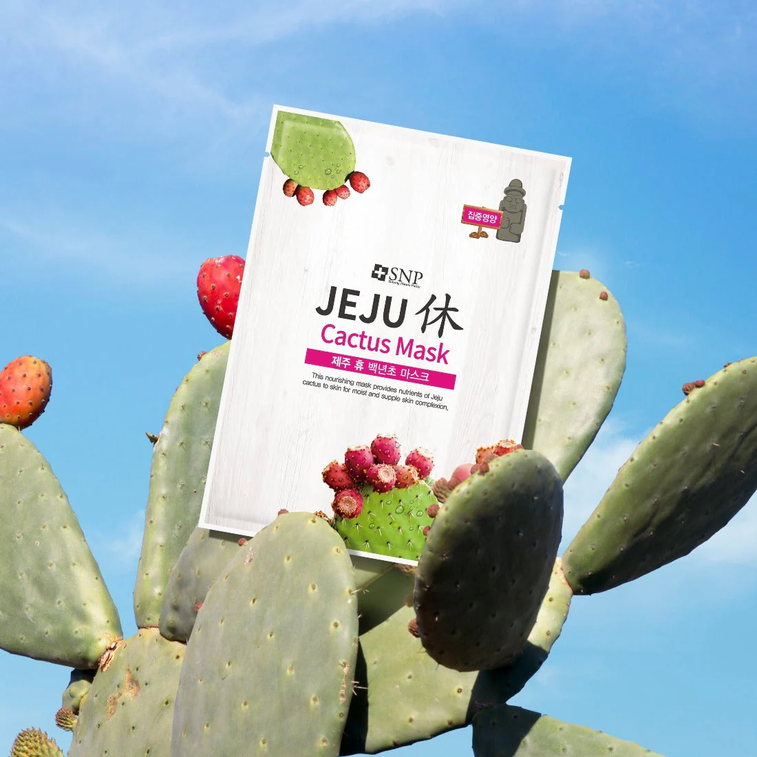 Jeju Cactus Mask [1pc] - Image 3