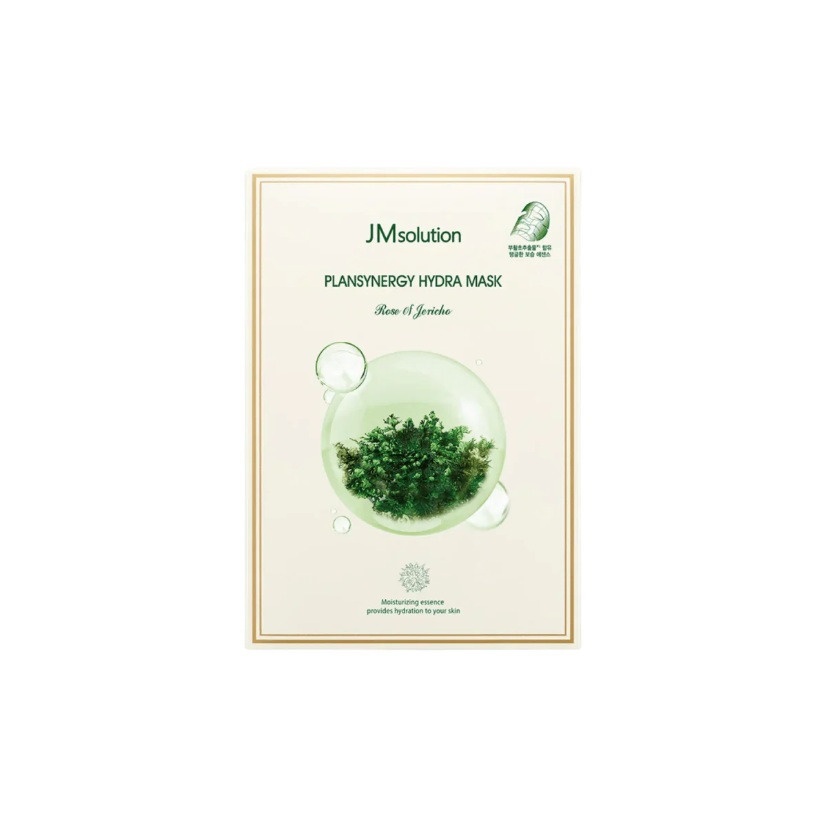 Plansynergy Hydra Mask Box [10pcs]