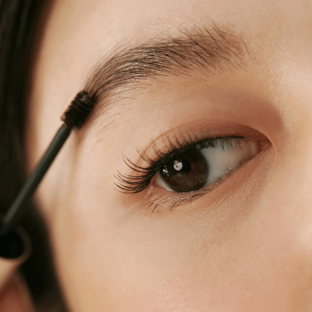 Signature Brow Shaper - Image 4